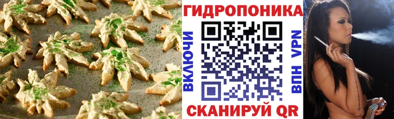 ссылка на мегу ONION  купить наркоту  Гаврилов Посад  Cannafood марихуана 