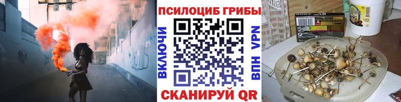 Псилоцибиновые грибы мухоморы  ссылка на мегу   Гаврилов Посад 
